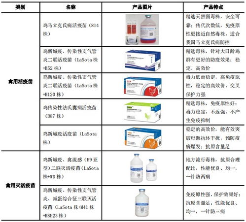 科前生物（股票代碼 688526） 技術(shù)服務(wù)引領(lǐng)生物科技新篇章