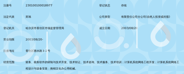 信息技術賦能稅務管理 北京世紀中稅軟件系統哈爾濱分公司專業咨詢服務解析